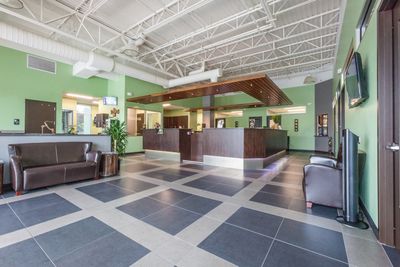 Angel Animal Hospital & Boarding photo 23