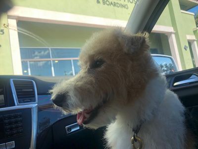 Angel Animal Hospital & Boarding photo 26