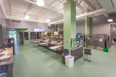 Angel Animal Hospital & Boarding photo 36