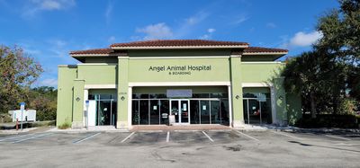 Angel Animal Hospital & Boarding photo 37