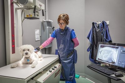 Angel Animal Hospital & Boarding photo 39