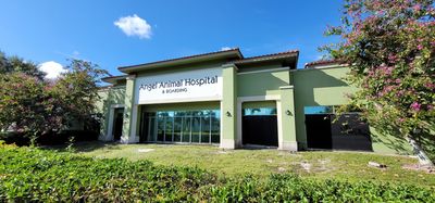 Angel Animal Hospital & Boarding photo 57