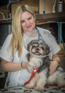 Angel Animal Hospital & Boarding photo 58