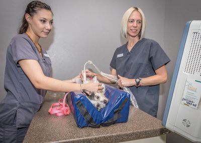 Angel Animal Hospital & Boarding photo 59