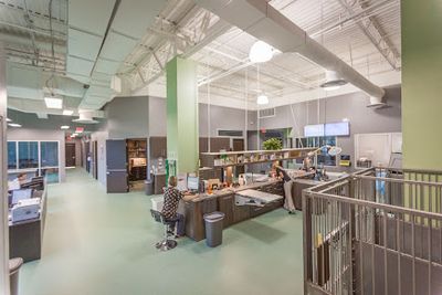 Angel Animal Hospital & Boarding photo 5