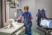 Angel Animal Hospital & Boarding photo 12