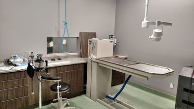 Angel Animal Hospital & Boarding photo 17