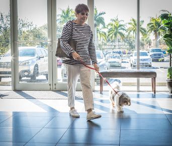 Angel Animal Hospital & Boarding photo 28