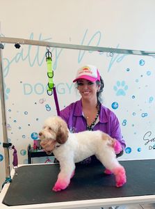 Salty Pup Doggy Spa & Daycare