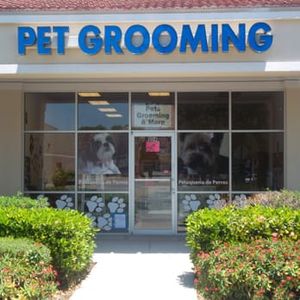 Love Pets Grooming & More photo 10