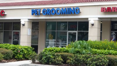 Love Pets Grooming & More photo 20