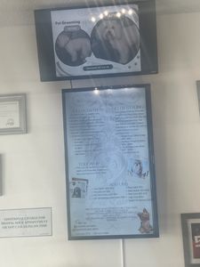 Paradise Pet Salon photo 14