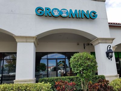 Paw-Paw Patch Pet Grooming LLC photo 4