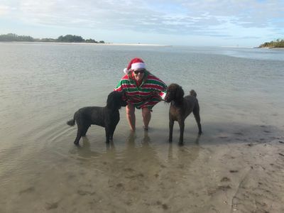 Paw-Paw Patch Pet Grooming LLC photo 38