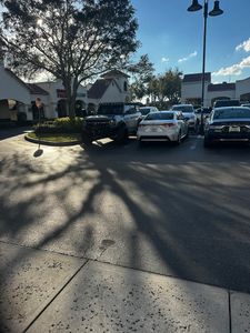 Paw-Paw Patch Pet Grooming LLC photo 41