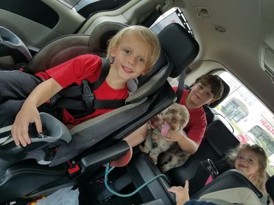 Paw-Paw Patch Pet Grooming LLC photo 42