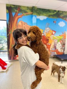 Preppy Pet Naples photo 6