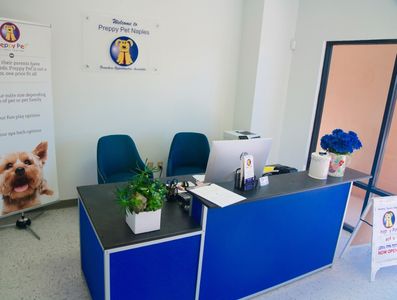 Preppy Pet Naples photo 8