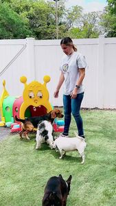 Preppy Pet Naples photo 14