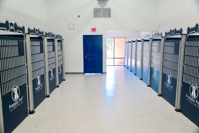 Preppy Pet Naples photo 22