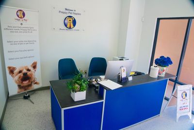 Preppy Pet Naples photo 40