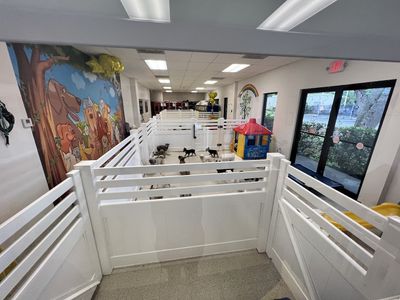 Preppy Pet Naples photo 52