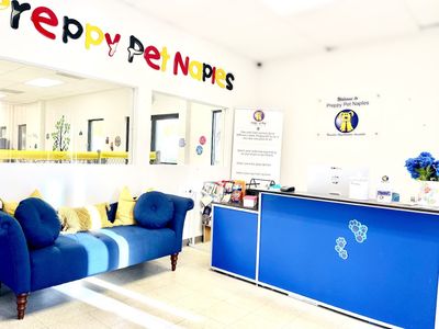 Preppy Pet Naples photo 55