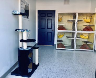 Preppy Pet Naples photo 56