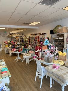 Paws pet boutique photo 3