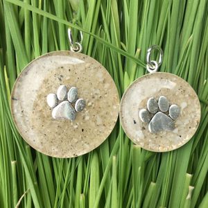 Paws pet boutique photo 8