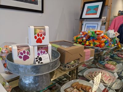 Paws pet boutique photo 9