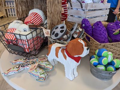 Paws pet boutique photo 12