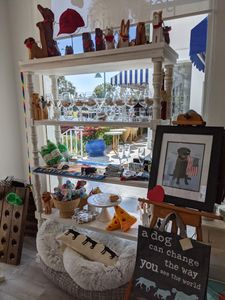 Paws pet boutique photo 13