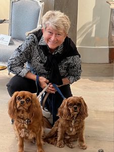 Paws pet boutique photo 24