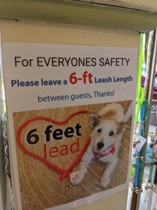 Paws pet boutique photo 25