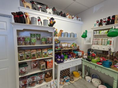 Paws pet boutique photo 26