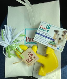 Paws pet boutique photo 35