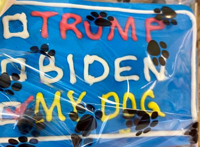 Paws pet boutique photo 38