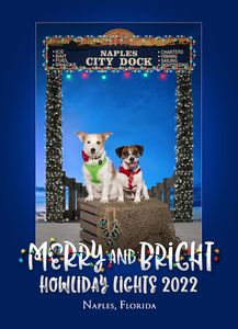 Paws pet boutique photo 39