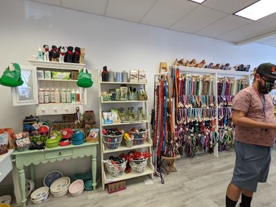 Paws pet boutique photo 47