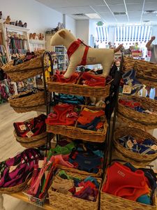 Paws pet boutique photo 49