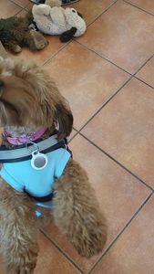 Best Friends a la Petite photo 2