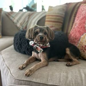 Best Friends a la Petite photo 3