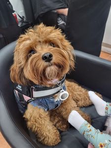 Best Friends a la Petite photo 4