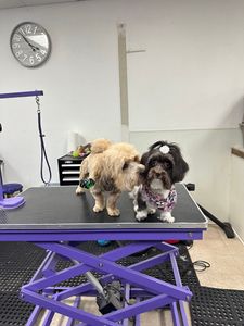 Best Friends a la Petite photo 5