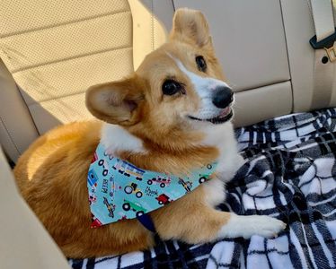 Best Friends a la Petite photo 6