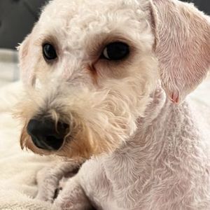 Best Friends a la Petite photo 7