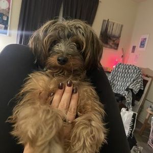 Best Friends a la Petite photo 8