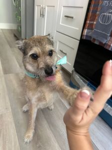 Best Friends a la Petite photo 9