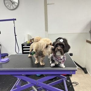 Best Friends a la Petite photo 14